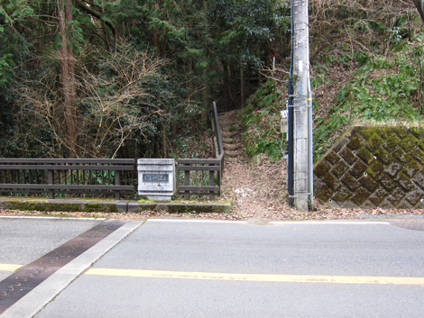 20200204hike (507)
